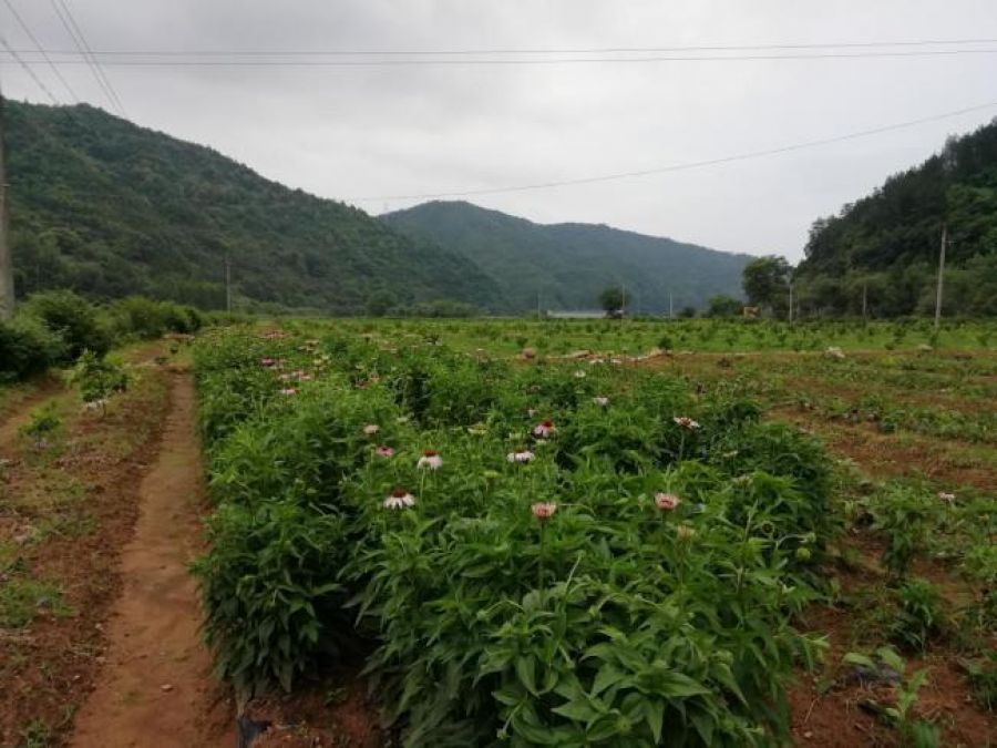 1612691451951298yaXD.jpg 圖片6.jpg